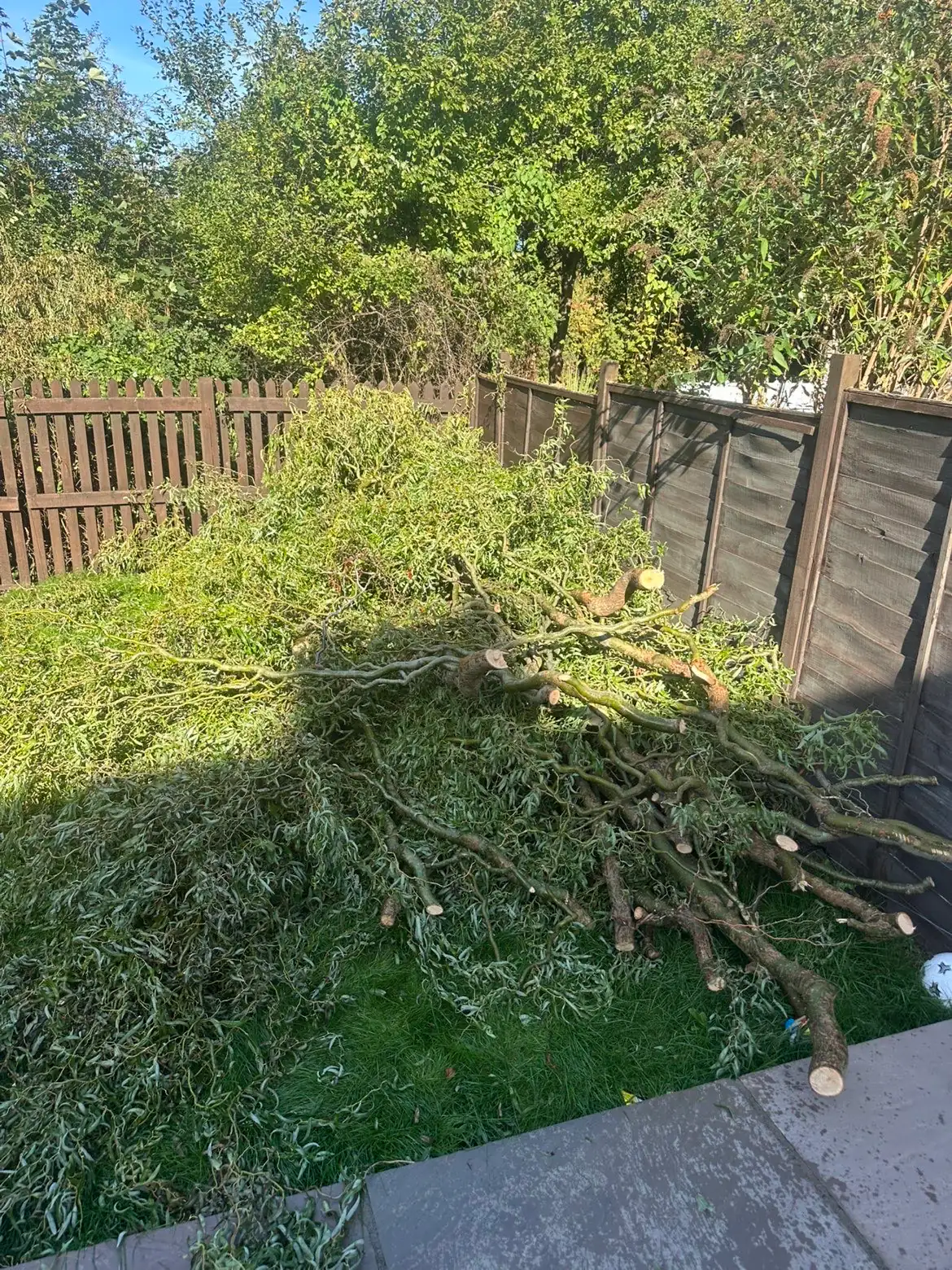 Pile of cut tree branches and prunings on a York lawn, ready for Mukin to clear