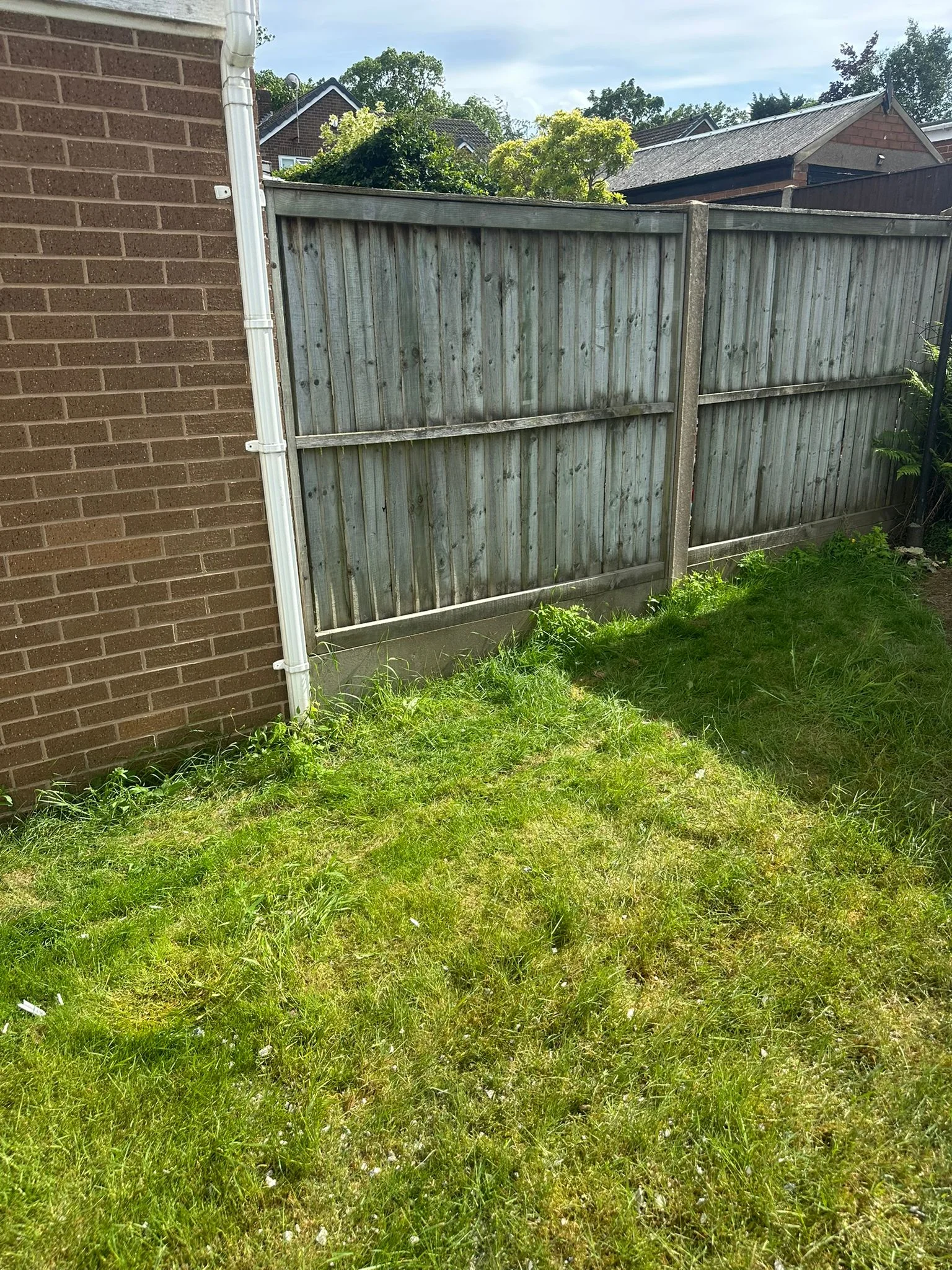 Garden after clearance: rubbish and waste cleared by Mukin in York