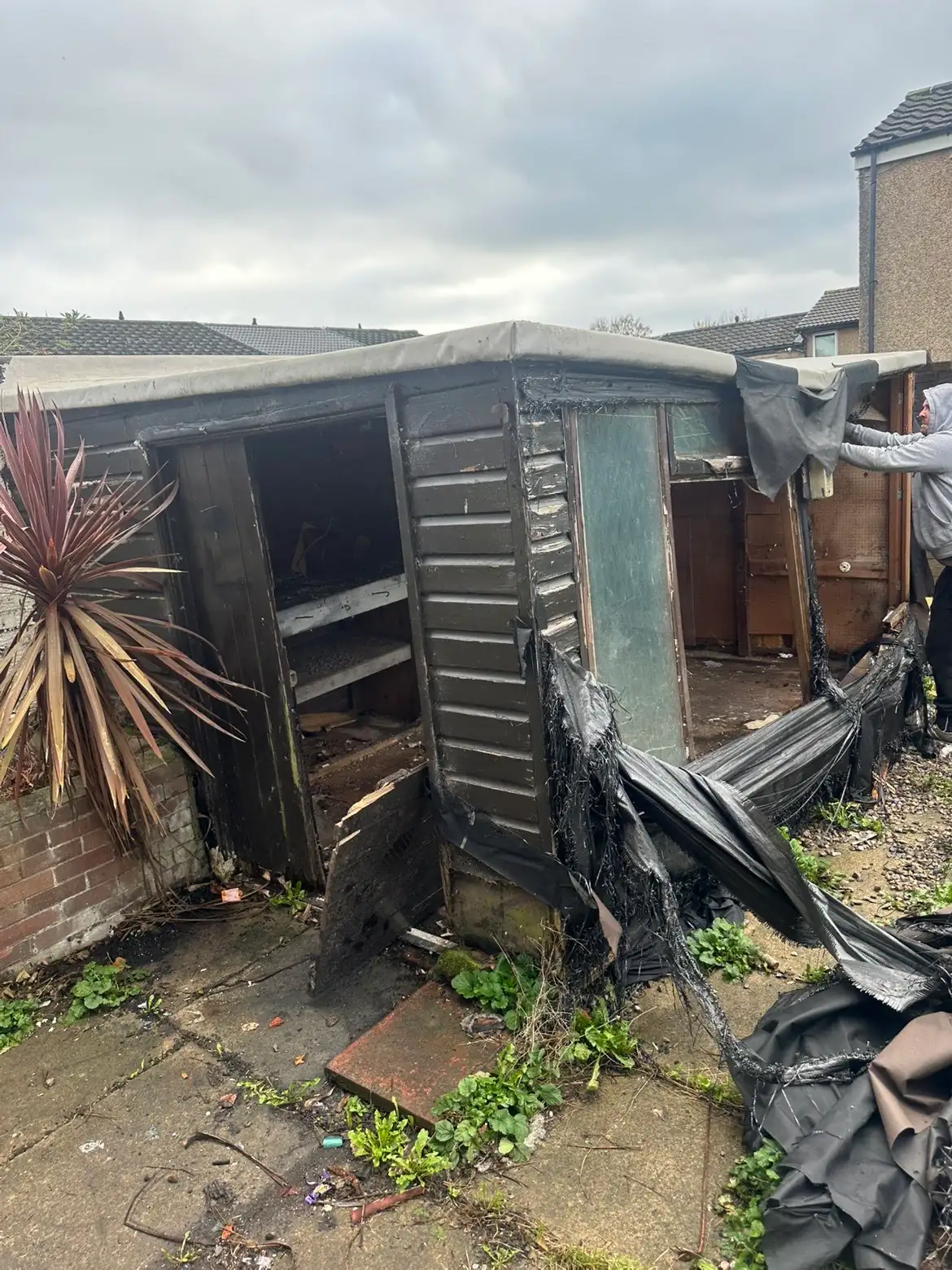 Old timber shed mid-dismantle on a York job, felt roof being stripped by the Mukin crew